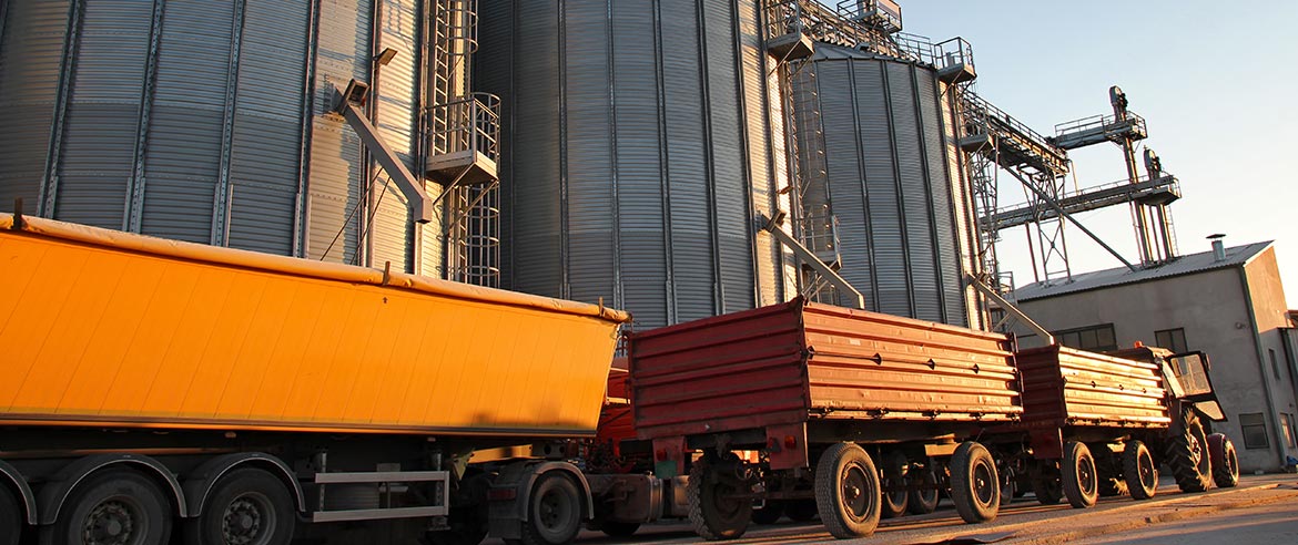 Samunnati offers customised agri term loan to help Agri Enterprises across a variety of industries.